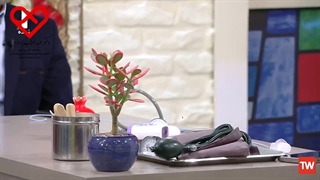 آنژیوگرافی کردم رگ قلبم باز شد؟ آیا این باور صحیح است یا غلط؟ (قسمت 2)