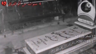 مداح شهید:سیدمحمدباقرعلوی