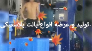 تهران پلاست پارسیان تولید پالت پلاستیکی سطح صاف بهداشتی