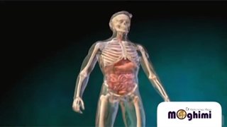 انیمیشن آرتریت روماتوئید زانو