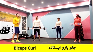 تمرین سرشانه ، جلو بازو و پشت بازو در خانه ( ورزش در منزل ) چالش شماره هشت