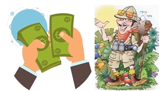 میمون های گرانبها