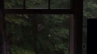 سیدا یدقه بیاین کپ