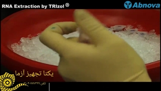 استخراج RNA با محلول ترایزول