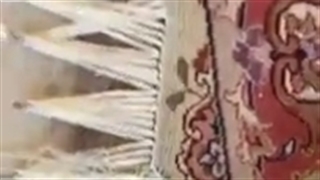 تعمیر ریشه فرش