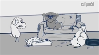 عنیمال لاور / طنز جالب غذا دادن به سگهای ولگرد!