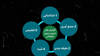 نازنین قوی دل