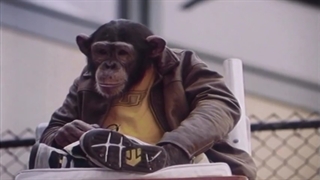 فیلم میمون نابغه 2 دوبله فارسی mvp 2 most vertical premate 2001