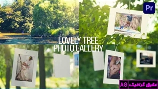 پروژه آماده پریمیر گالری عکس درخت Lovely Tree Photo Gallery