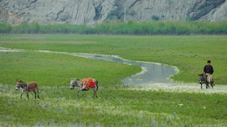 ایران - IRAN IN 8K