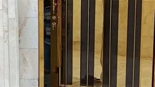 درب پیوت (لولا محوری)