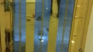 درب طلا فروشی پاساژپلاتین شهرک غرب