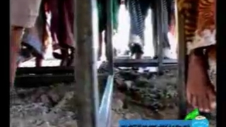 فقر در روستای رودبار جنوب کرمان