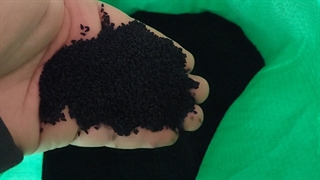 قیمت به روز سیاه دانه