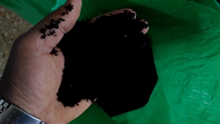 خرید سیاه دانه اعلا