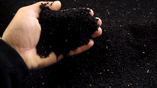 فروش سیاه دانه اصفهان