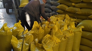 قیمت سیاه دانه اصل