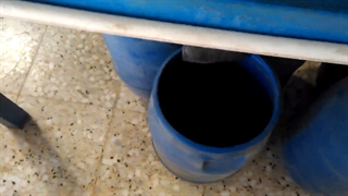 سیاه دانه خرید اینترنتی