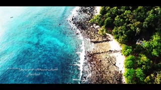 فضیلت تسبیحات حضرت زهرا سلام‌الله‌علیها