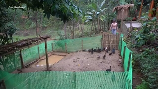 How To Make Pigeon Coop, Take Care Of The Vegetable Garden - Free Building Fram Life, Ep107