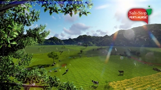 کود ضد شوری سالت استاپ