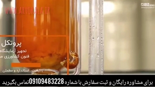 آشنایی با قارچ گانودرما