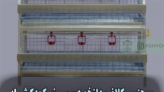 ویژگی های یک قفس خوب