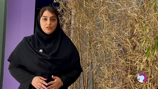 تور قشم با هواپیما