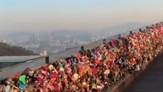 ＼（〇_ｏ）／（＾～＾）