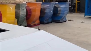 تولید انواع هود صنعتی رستوران ها در شیراز شرکت کولاک فن 09177002700