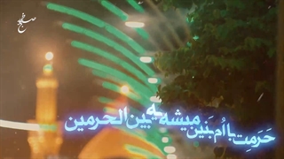 مداحی ایام فاطمیه حضرت زهرا(س) توسط هلالی و سیب سرخی