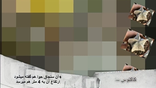 انواع کاکتوس