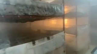 مه پاش پروانه ای _ 09924634893