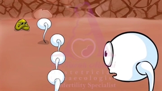 اسپرم برنده چه ویژگی هایی داره ؟