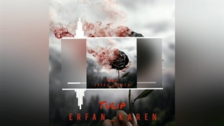 موزیک گل لاله عرفان کارن/Tulip erfan_karen