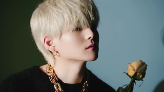 تیزر "treasure in the night garden"