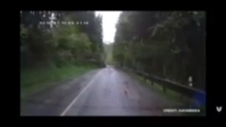 مثل فیلم ترسناک