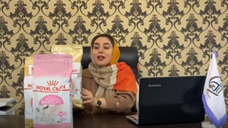 تغدیه گربه پرشین | بهترین غذا برای گربه های پرشین
