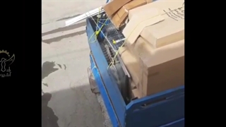 بسته بندی مخصوص قفس آشیونه