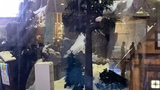 اسکی‌دبی / توردبی / رامین گشت 02141509 / ski dubai