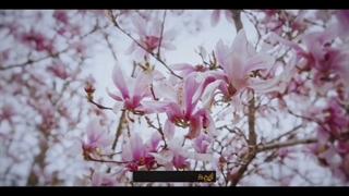 سرمشق فاطمی، کار بی مزد و منت