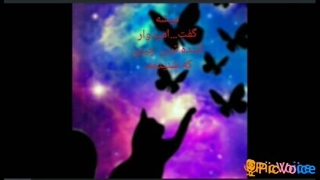 زیباترین نکته از میراکلس فصل پنجم(فینال)