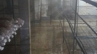 آکبند و صنعتی.رطوبت ساز قارچکاران09190951876