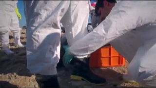 مستند | «اهل هلیله»