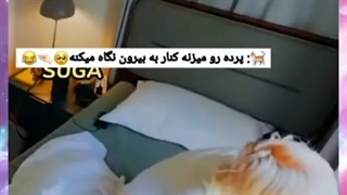 کیوتچه های ارمیا...؛)