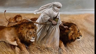 امام علی (ع) مداحی