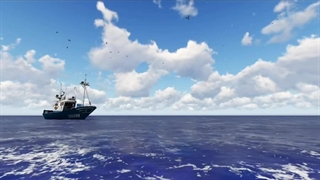 ویدیویی زیبا