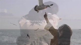 وایب آهنگ(stay)ماندن از بلک پینک