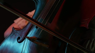 ویدیویی زیبا