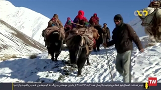 نبرد برای زندگی ؛ 2016 ؛ فصل 9 ؛ قسمت 4